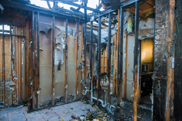 Professional Fire Damage Removal technician working in Athens, PA